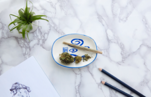 How Winter Breath Bulk Hybrid Combines Calm And Clarity
